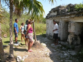 Guias especializados